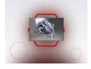 Pyrexaec Floe