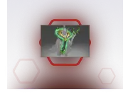 Crux of Perplex